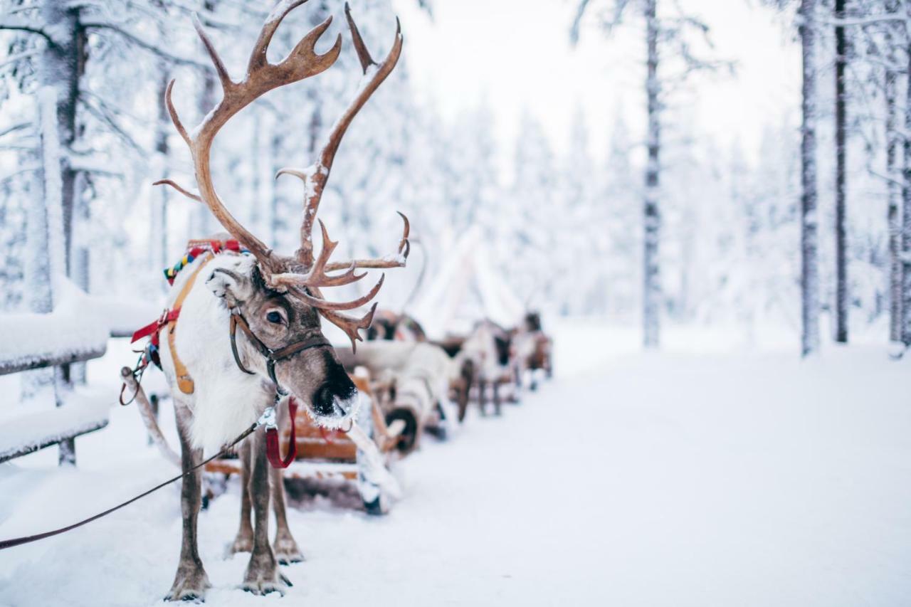 Forenom Serviced Apartments Rovaniemi Valtakatu 外观 照片